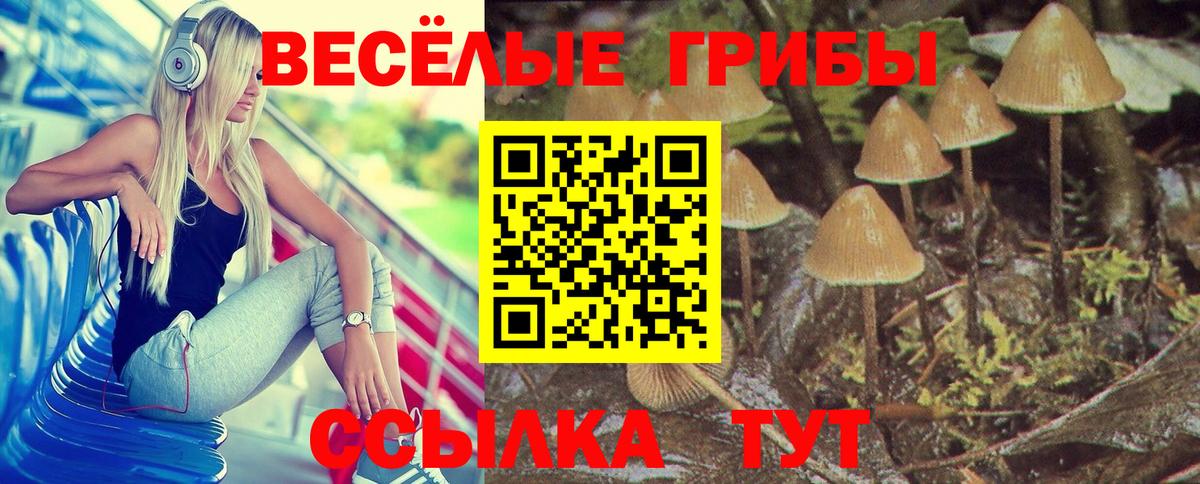 Галлюциногенные грибы ЛСД  Псилоцибиновые грибы Psilocybe  Ялта  Вход с VPN 